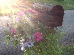 Vitamin D Wakes Writers Up