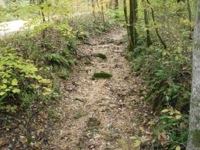 Writing Path with Obstacles