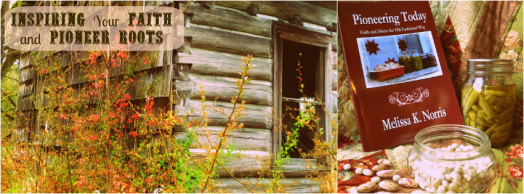 Branded Facebook Cover for Melissa K. Norris