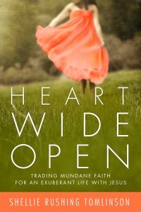 Heart Wide Open_n1