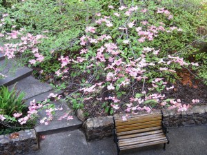 A meeting waiting to happen.