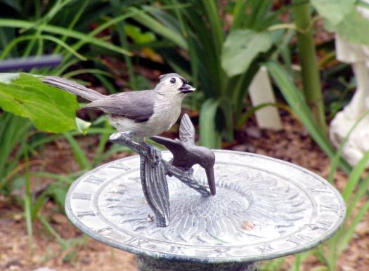 Sing Your Unique Song via Janalyn Voigt | Wordserve Water Cooler