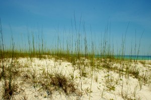 Destin, Florida June 2008 451