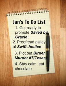 to do list (2)
