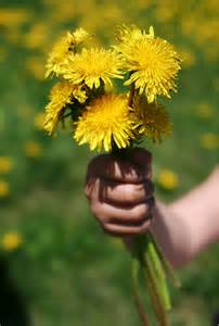 dandelionhand