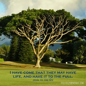 merritt, john FINAL19