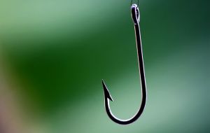 Fish-hook
