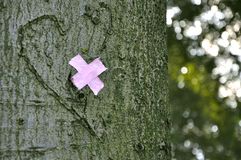 broken heart dreamstime