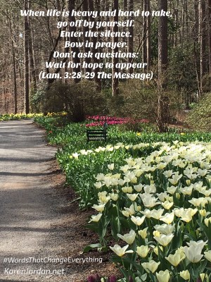 Image/karenjordan.net